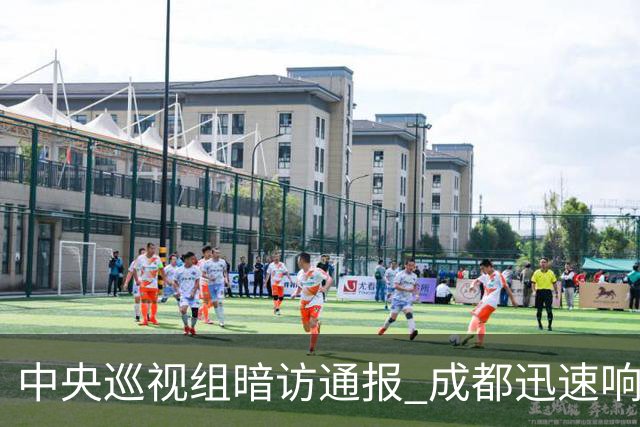 中央巡视组暗访通报 成都迅速响应立案拟顶格处罚